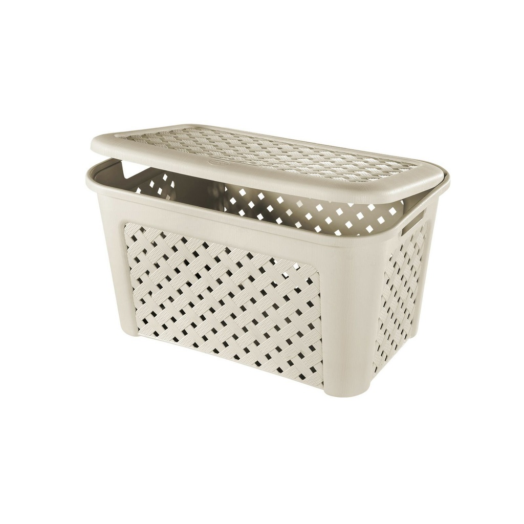 Caja Plástica Grande C/Tapa 48.3L ARIANNA TONTARELLI