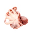 Pulpo Entero FROXÁ (8 a 12kg)