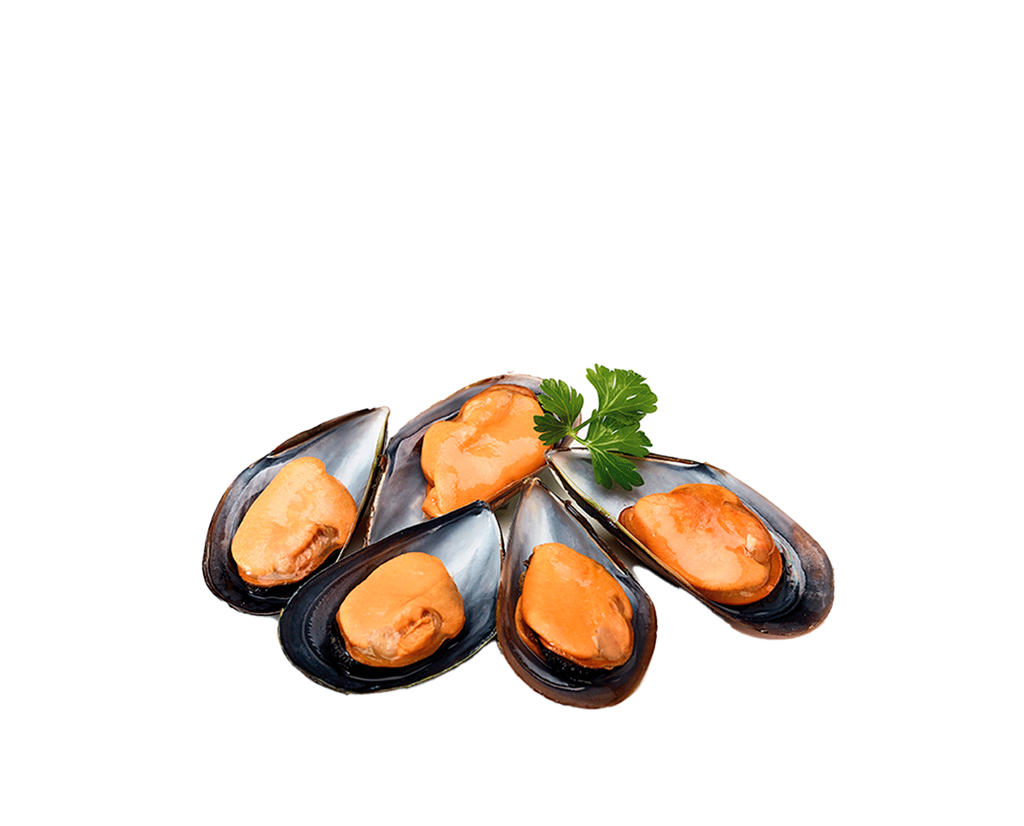 Mejillón 1/2 Concha FROXÁ (1kg)