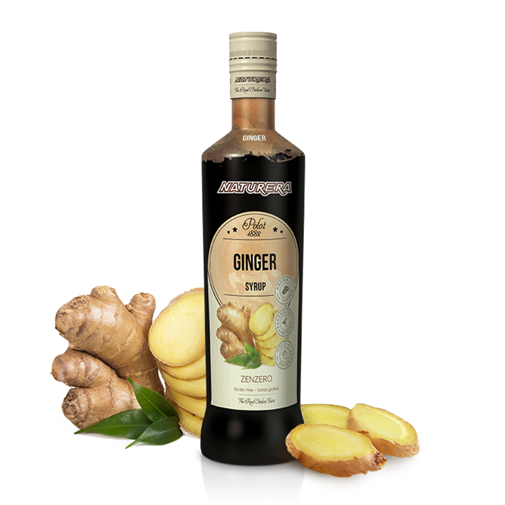 Sirope de Jengibre NATURERA POLOT (700ml)