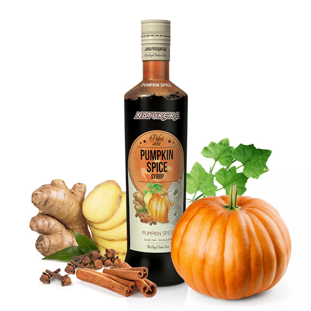 Sirope Calabaza con Especias NATURERA POLOT (700ml)