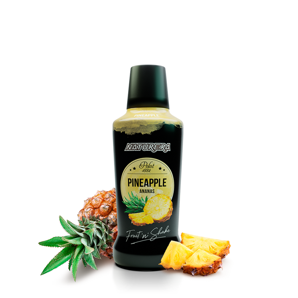 Puré de Fruta Piña NATURERA POLOT (750ml)