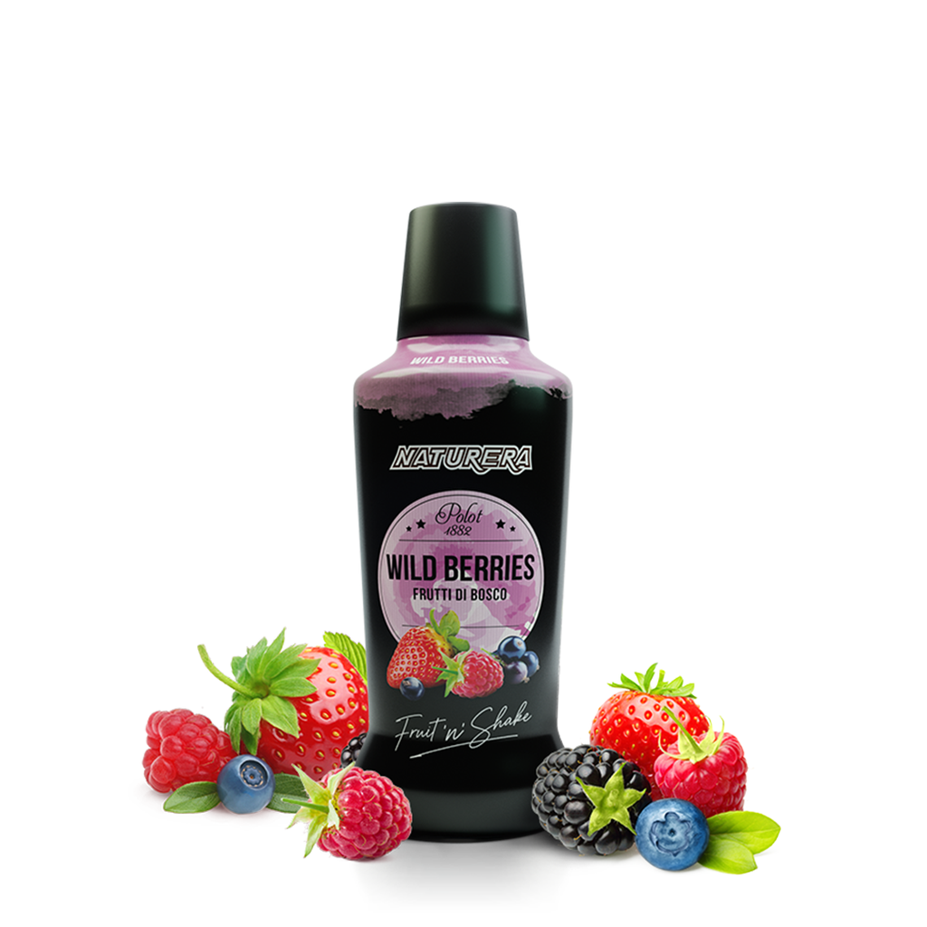 Puré de Fruta Frutos del Bosque NATURERA POLOT (750ml)