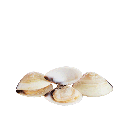Almeja Blanca Cocida 40/60 FROXÁ (1kg)