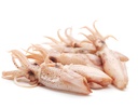 Calamar Puntilla 3/6 cm S/Pluma FROXÁ (1kg)